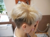 dscn1151