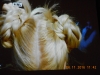 dscn1580